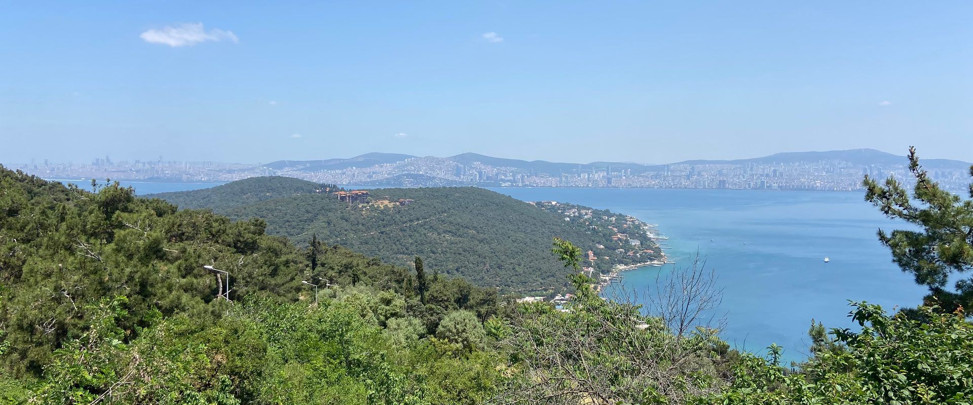 View over pine-covered slopes on Büyükada to a forested headland, calm sea and the hazy Istanbul skyline beyond