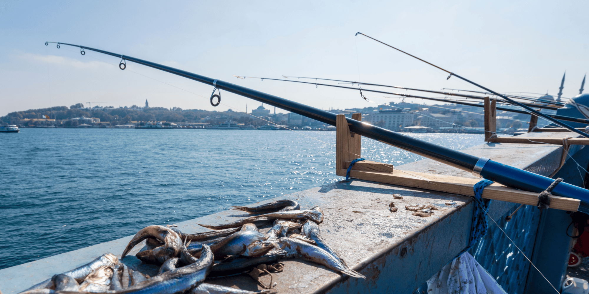 Fishermen fishing at Galata bridge in Istanbul.